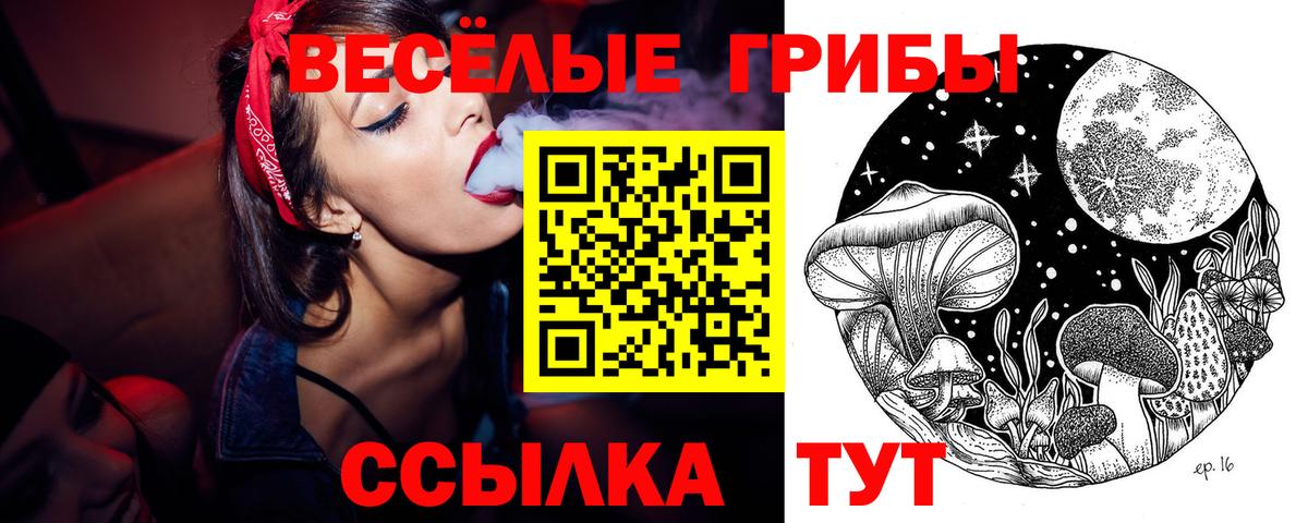 Галлюциногенные грибы мухоморы Георгиевск