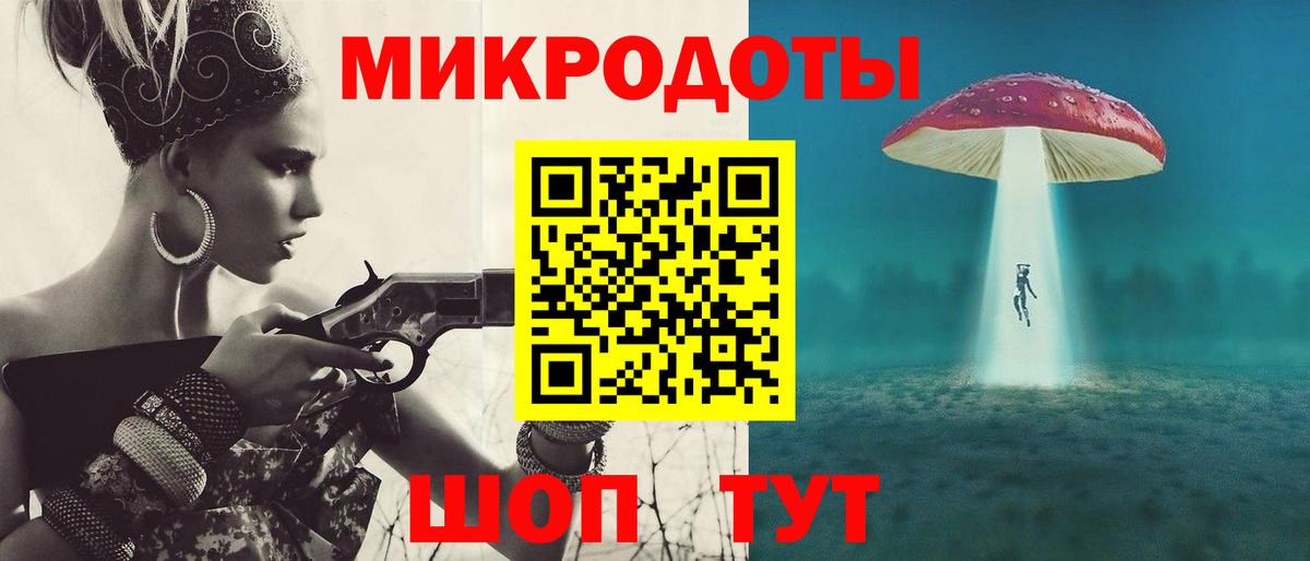Георгиевск  Псилоцибиновые грибы прущие грибы  Вход с VPN  Галлюциногенные грибы Psilocybe 